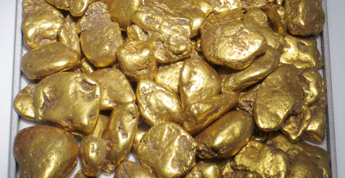 A tray of gold nuggets